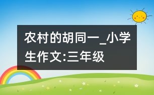 農村的胡同（一）_小學生作文:三年級