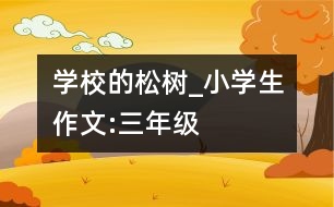 學校的松樹_小學生作文:三年級