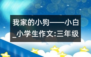 我家的小狗――小白_小學生作文:三年級