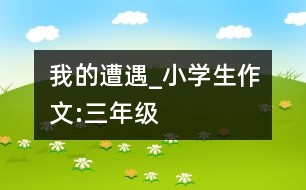 我的遭遇_小學(xué)生作文:三年級