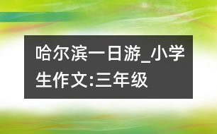 哈爾濱一日游_小學(xué)生作文:三年級(jí)