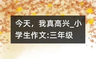 今天，我真高興_小學(xué)生作文:三年級