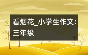 看煙花_小學(xué)生作文:三年級