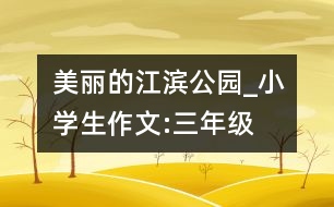 美麗的江濱公園_小學生作文:三年級