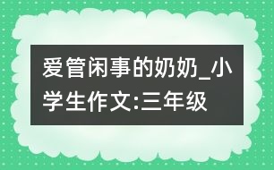 愛管閑事的奶奶_小學生作文:三年級