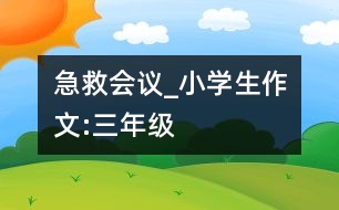 急救會議_小學(xué)生作文:三年級