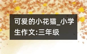 可愛的小花貓_小學生作文:三年級