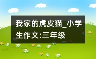 我家的虎皮貓_小學(xué)生作文:三年級