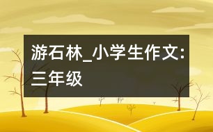 游石林_小學(xué)生作文:三年級