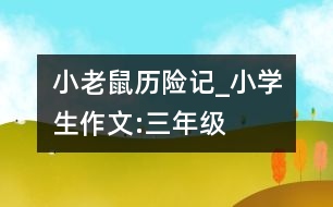 小老鼠歷險(xiǎn)記_小學(xué)生作文:三年級