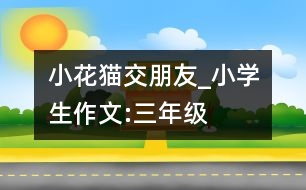 小花貓交朋友_小學(xué)生作文:三年級(jí)