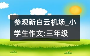 參觀新白云機(jī)場(chǎng)_小學(xué)生作文:三年級(jí)