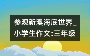 參觀新澳海底世界_小學生作文:三年級