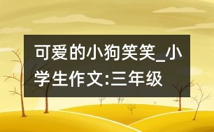 可愛的小狗笑笑_小學(xué)生作文:三年級