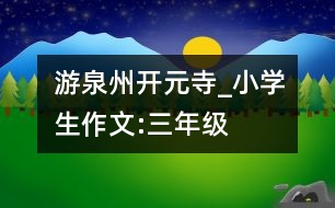 游泉州開(kāi)元寺_小學(xué)生作文:三年級(jí)