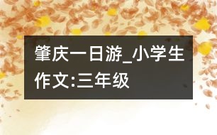 肇慶一日游_小學生作文:三年級