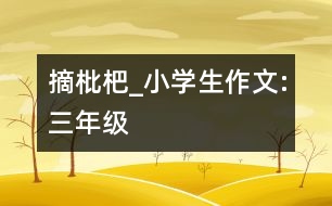 摘枇杷_小學(xué)生作文:三年級