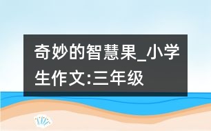 奇妙的智慧果_小學生作文:三年級