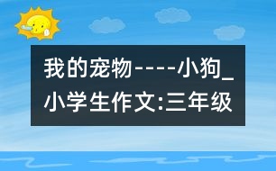 我的寵物----小狗_小學生作文:三年級