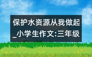 保護(hù)水資源從我做起_小學(xué)生作文:三年級(jí)