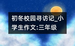 初冬校園尋訪記_小學(xué)生作文:三年級(jí)