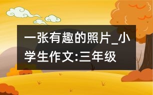 一張有趣的照片_小學(xué)生作文:三年級