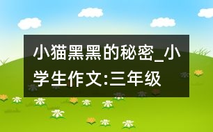 小貓黑黑的秘密_小學(xué)生作文:三年級(jí)