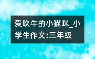 愛吹牛的小貓咪_小學生作文:三年級