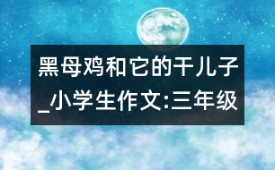 黑母雞和它的干兒子_小學(xué)生作文:三年級(jí)