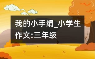 我的小手絹_小學(xué)生作文:三年級