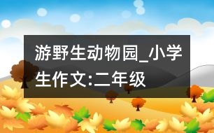 游野生動物園_小學(xué)生作文:二年級