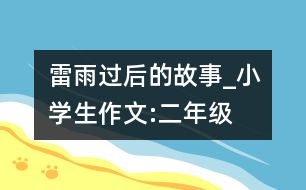 雷雨過(guò)后的故事_小學(xué)生作文:二年級(jí)