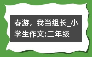 春游，我當(dāng)組長_小學(xué)生作文:二年級(jí)