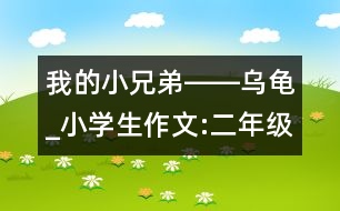 我的小兄弟――烏龜_小學(xué)生作文:二年級(jí)