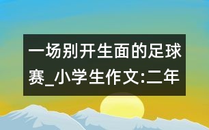 一場(chǎng)別開生面的足球賽_小學(xué)生作文:二年級(jí)