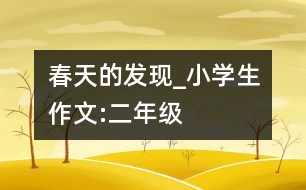 春天的發(fā)現(xiàn)_小學(xué)生作文:二年級