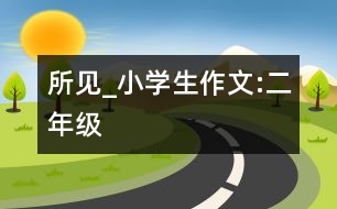 所見_小學(xué)生作文:二年級