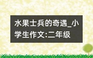 水果士兵的奇遇_小學(xué)生作文:二年級(jí)