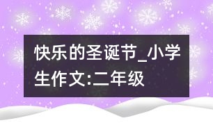 快樂的圣誕節(jié)_小學生作文:二年級