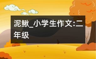 泥鰍_小學生作文:二年級