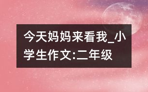 今天媽媽來(lái)看我_小學(xué)生作文:二年級(jí)