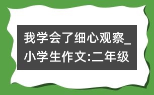 我學(xué)會了細(xì)心觀察_小學(xué)生作文:二年級