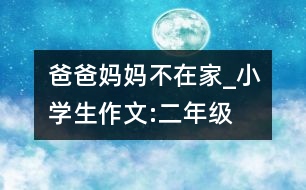 爸爸媽媽不在家_小學生作文:二年級