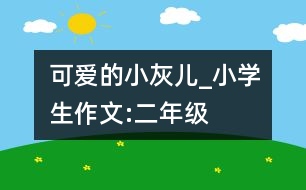 可愛的小灰兒_小學生作文:二年級