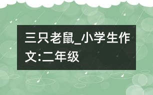 三只老鼠_小學(xué)生作文:二年級