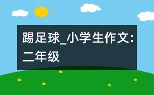 踢足球_小學生作文:二年級