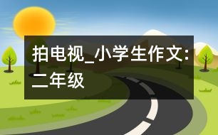 拍電視_小學(xué)生作文:二年級