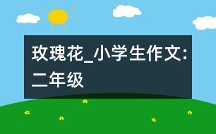 玫瑰花_小學(xué)生作文:二年級(jí)