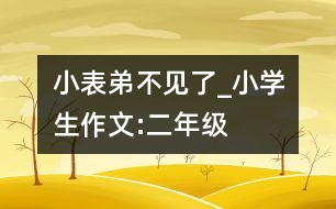 小表弟不見了_小學(xué)生作文:二年級