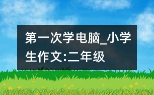 第一次學(xué)電腦_小學(xué)生作文:二年級(jí)